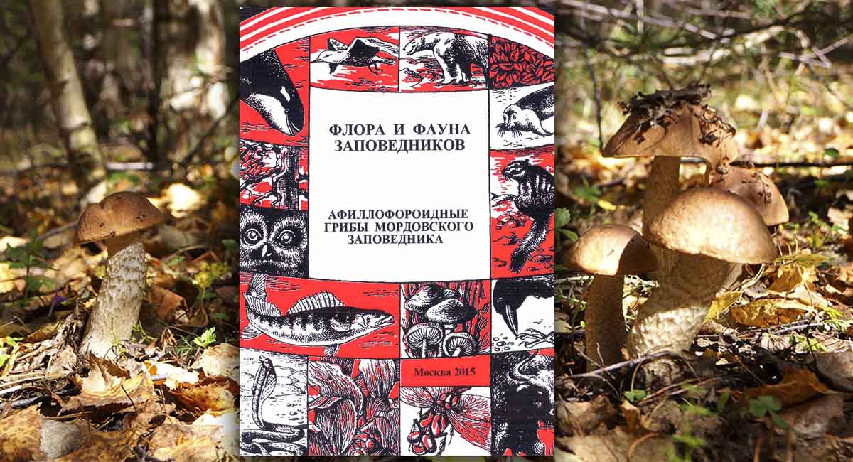 Афиллофороидные  грибы  Мордовского  заповедника  (аннотированный список видов)
