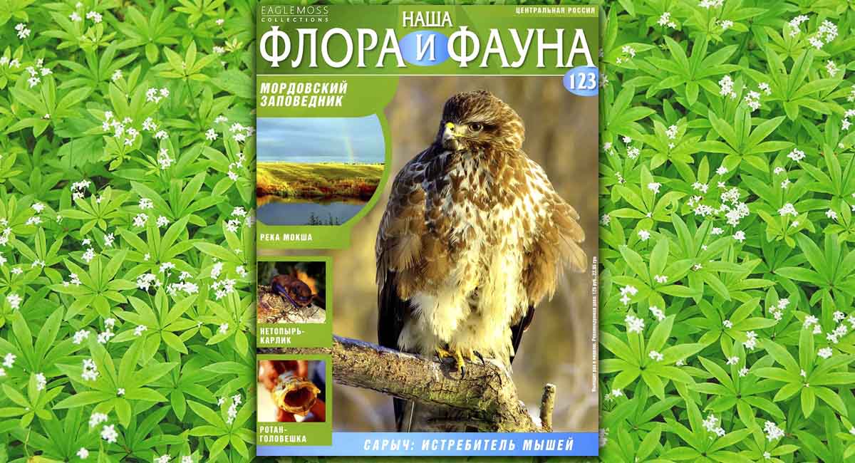 Наша флора и фауна. №123, 2015.