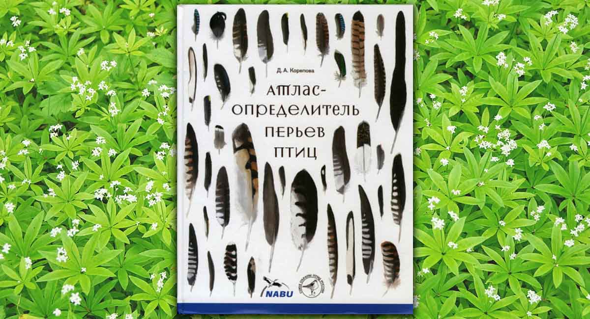 Атлас-определитель перьев птиц 