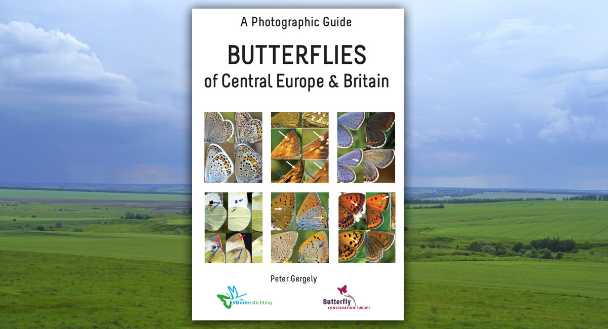 Photographic Guide Butterflies of Central Europe and Brittain