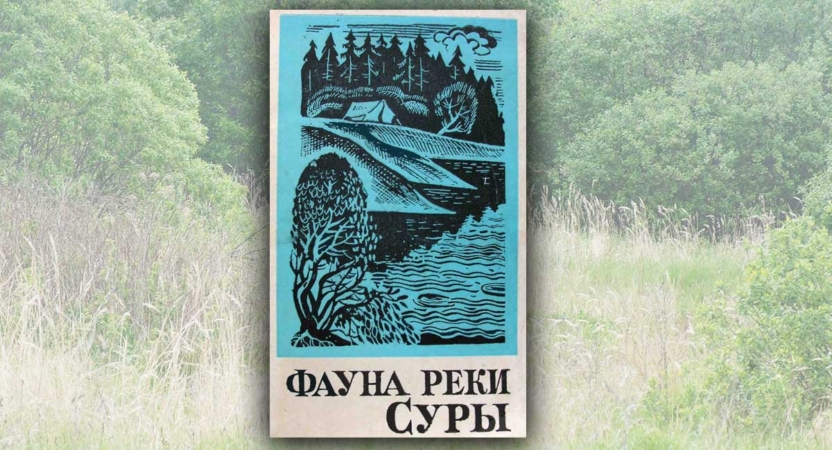 Фауна реки Суры