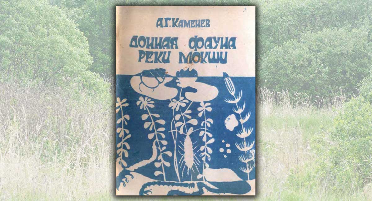 Донная фауна реки Мокши
