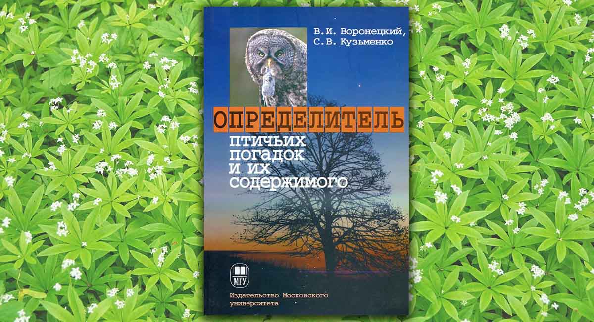 Определитель птичьих погадок