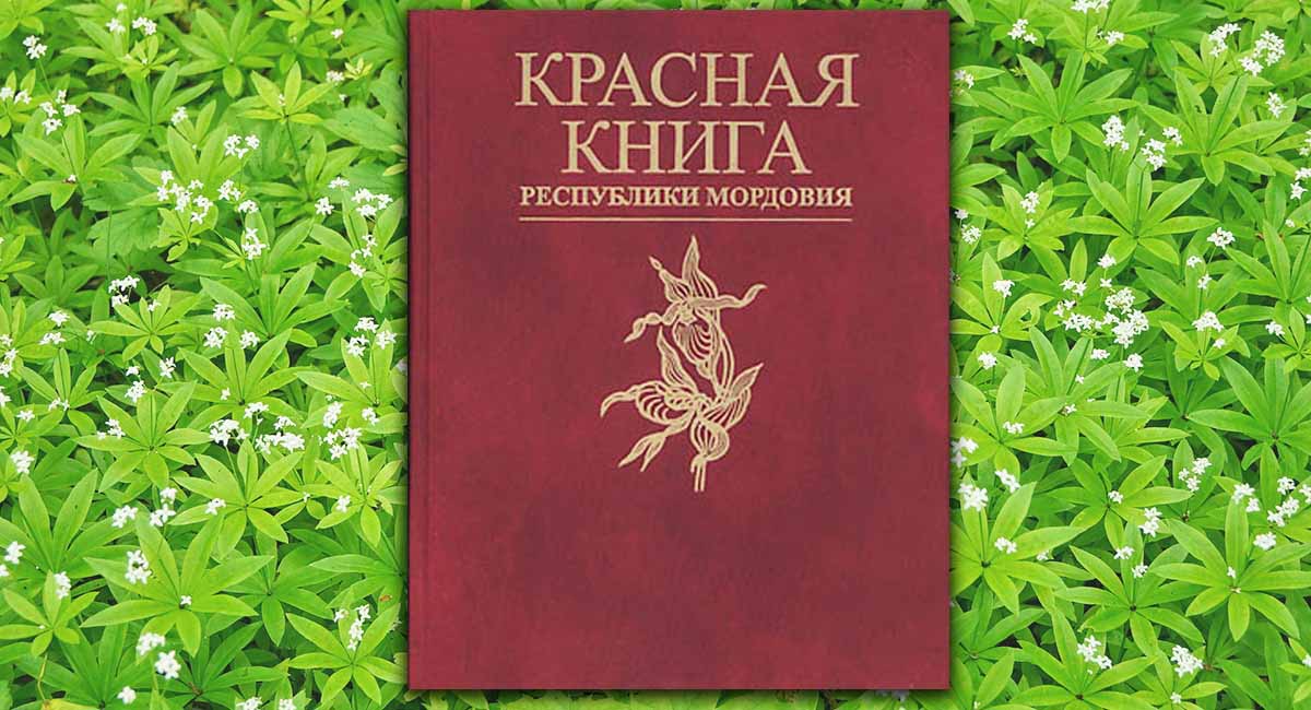 Красная книга Республики Мордовия. В 2 т. Т. 1: Редкие виды растений, лишайников и грибов Красная книга Республики Мордовия. В 2 т. Т. 1: Редкие виды растений, лишайников и грибов