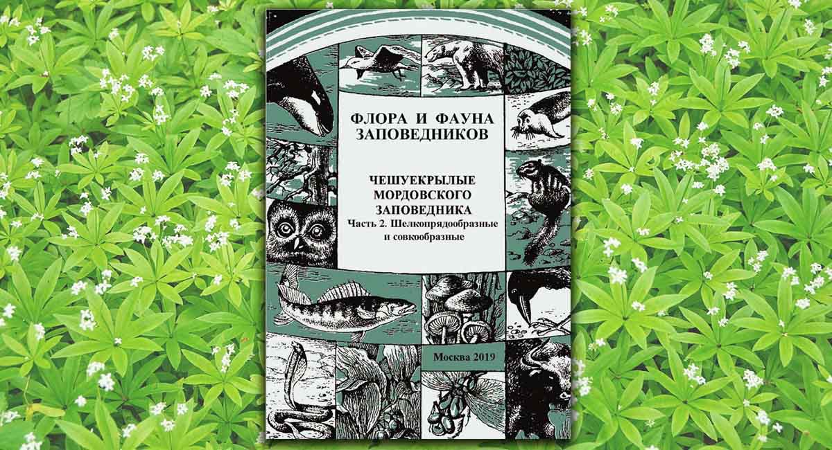 Чешуекрылые Мордовского заповедника. Часть 2. Шелкопрядообразные и совкообразные (Lepidoptera: Bombyciformes, Noctuiformes) (аннотированный список видов) Чешуекрылые Мордовского заповедника. Часть 2. Шелкопрядообразные и совкообразные (Lepidoptera: Bombyciformes, Noctuiformes) (аннотированный список видов)