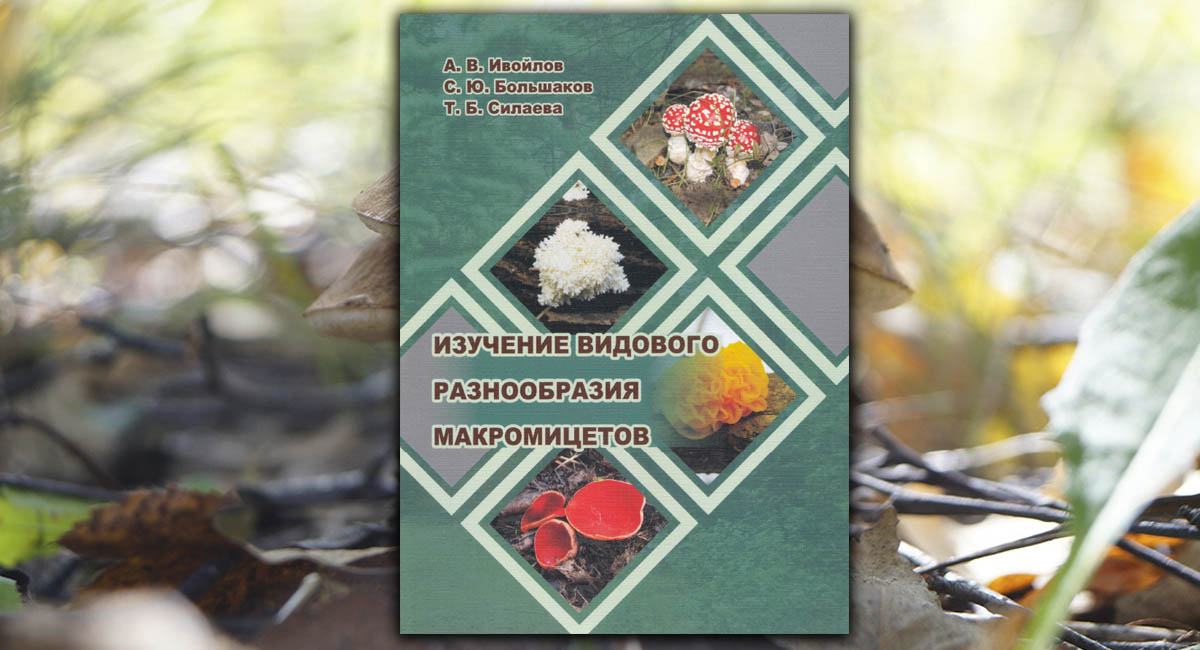 Изучение видового разнообразия макромицетов