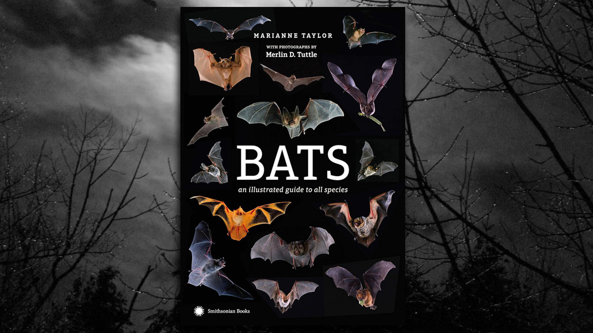 Bats: An Illustrated Guide to All Species Bats: An Illustrated Guide to All Species