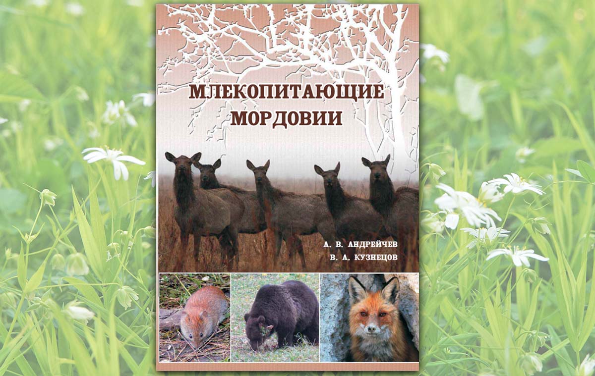 Млекопитающие Мордовии
