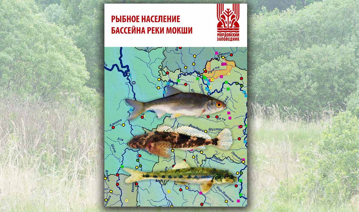 Рыбное население бассейна реки Мокши Рыбное население бассейна реки Мокши