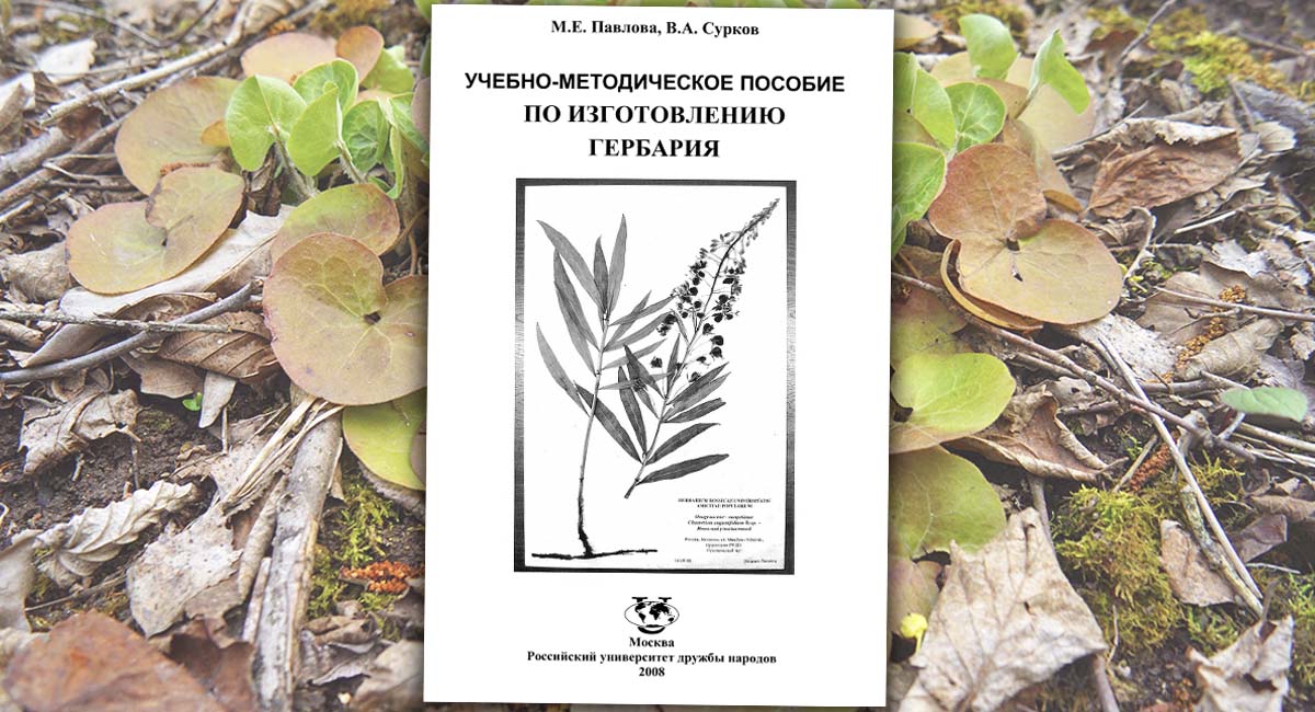 Учебно-методическое пособие по изготовлению гербария