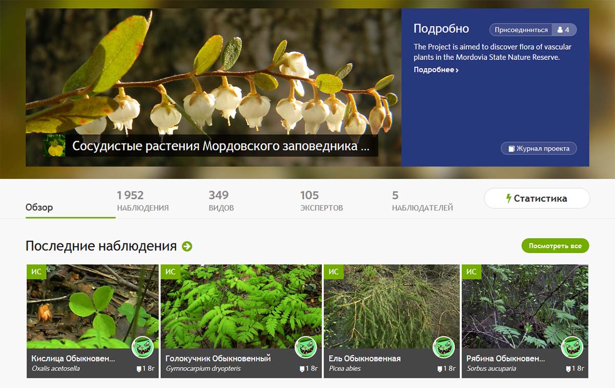 Проект на страницах iNaturalist посвященый растениям Мордовского заповедника - "Сосудистые растения Мордовского заповедника"